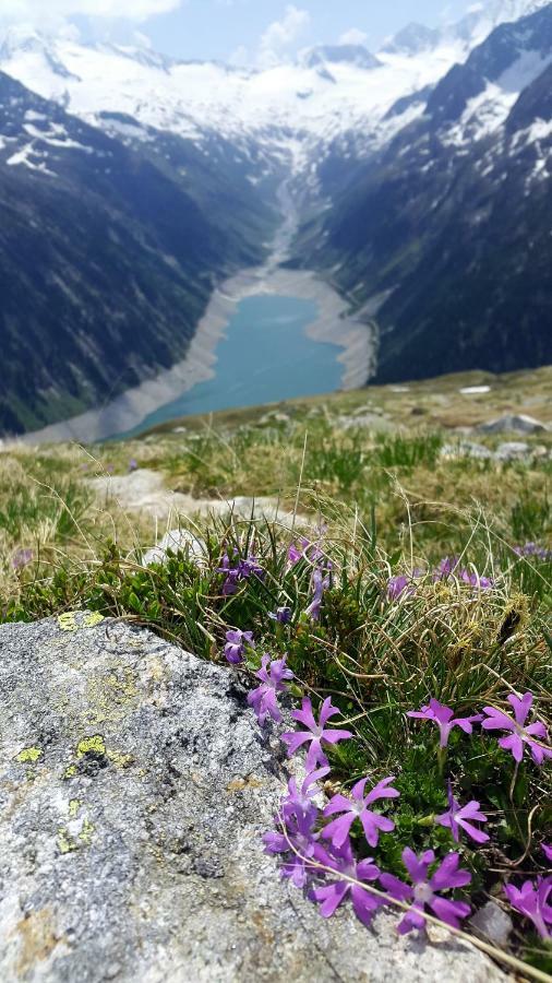 Hotel Pension Eichenhof Ried im Zillertal Extérieur photo