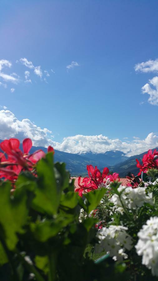 Hotel Pension Eichenhof Ried im Zillertal Extérieur photo